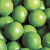 Beneficios del Limón: ¡Descubre todas las bondades de este cítrico en México!
